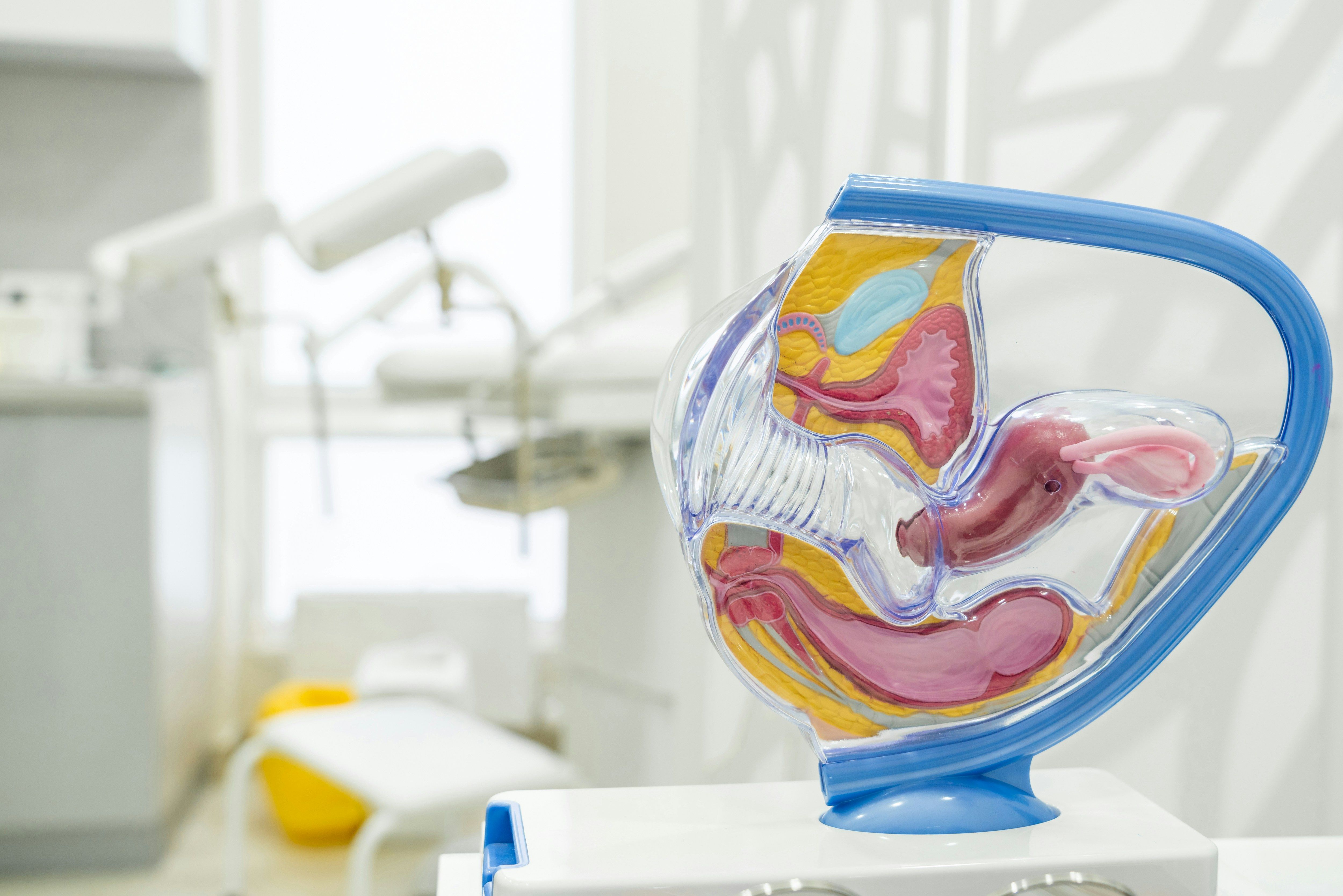 FPAA Reproductive and Sexual Health Theory Course Only