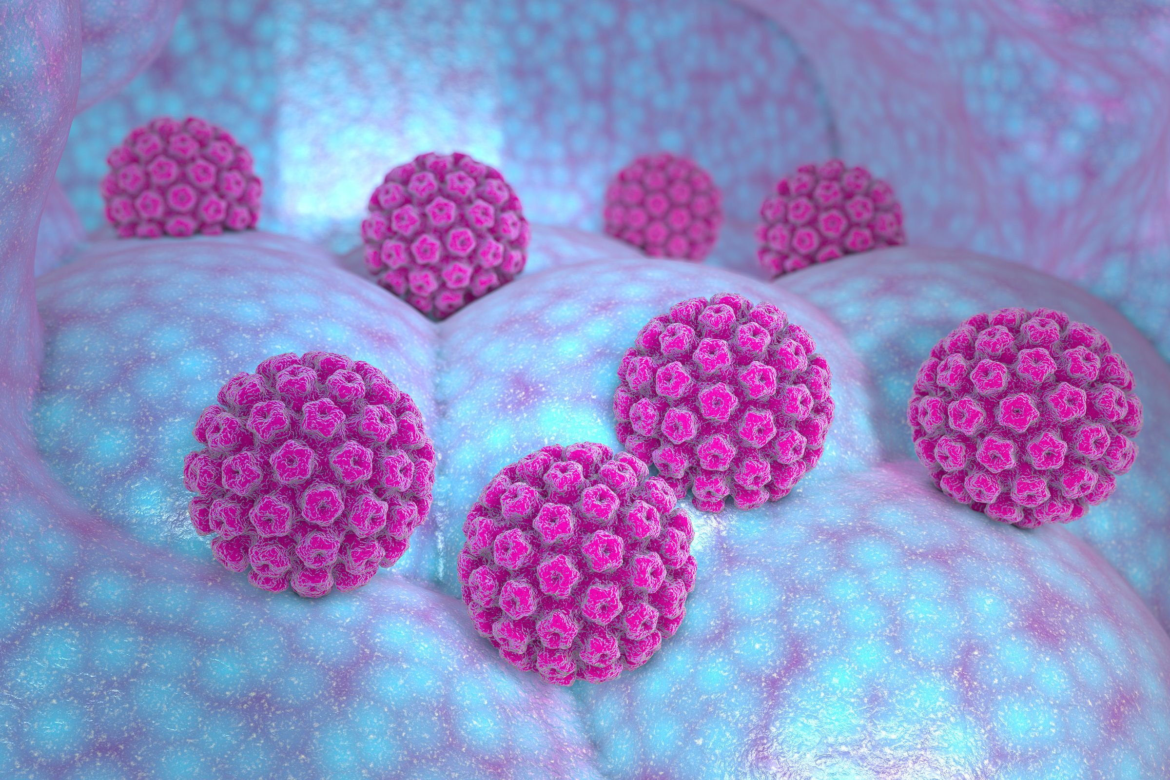 Human Papilloma Virus (HPV) 